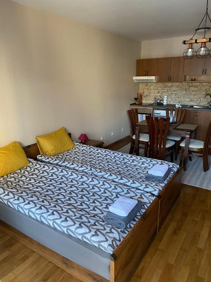 Bansko Spa Studio At Predela1 Екстериор снимка